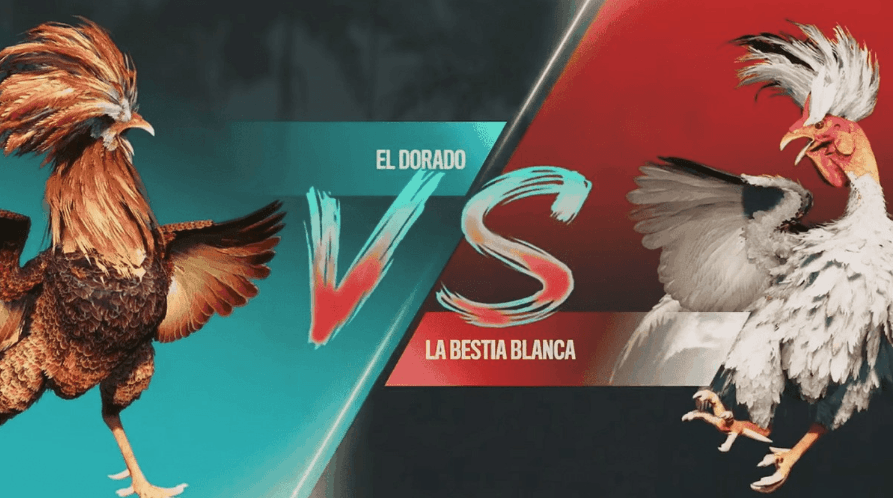 wwedpg Plataforma Jogos App